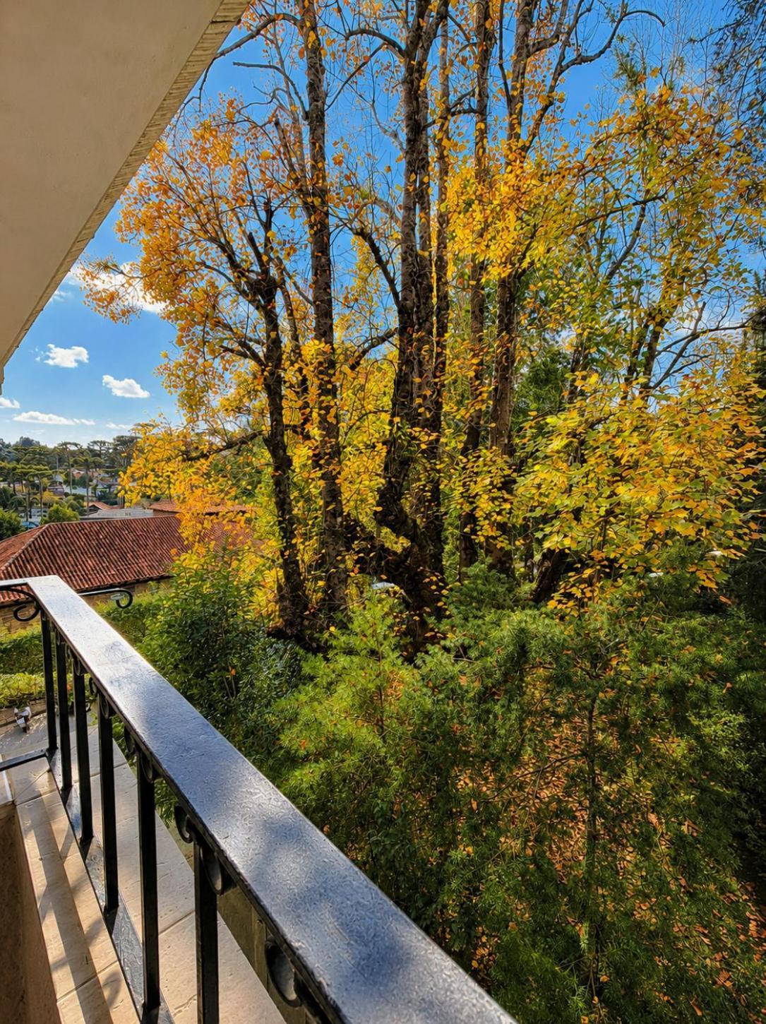 Suite Balcony,1771566753:JPEG